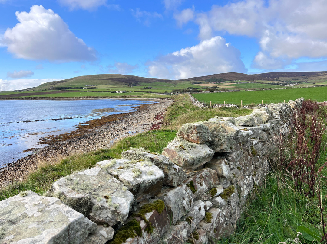 Wild Orkney Walks-Stromness必去景点