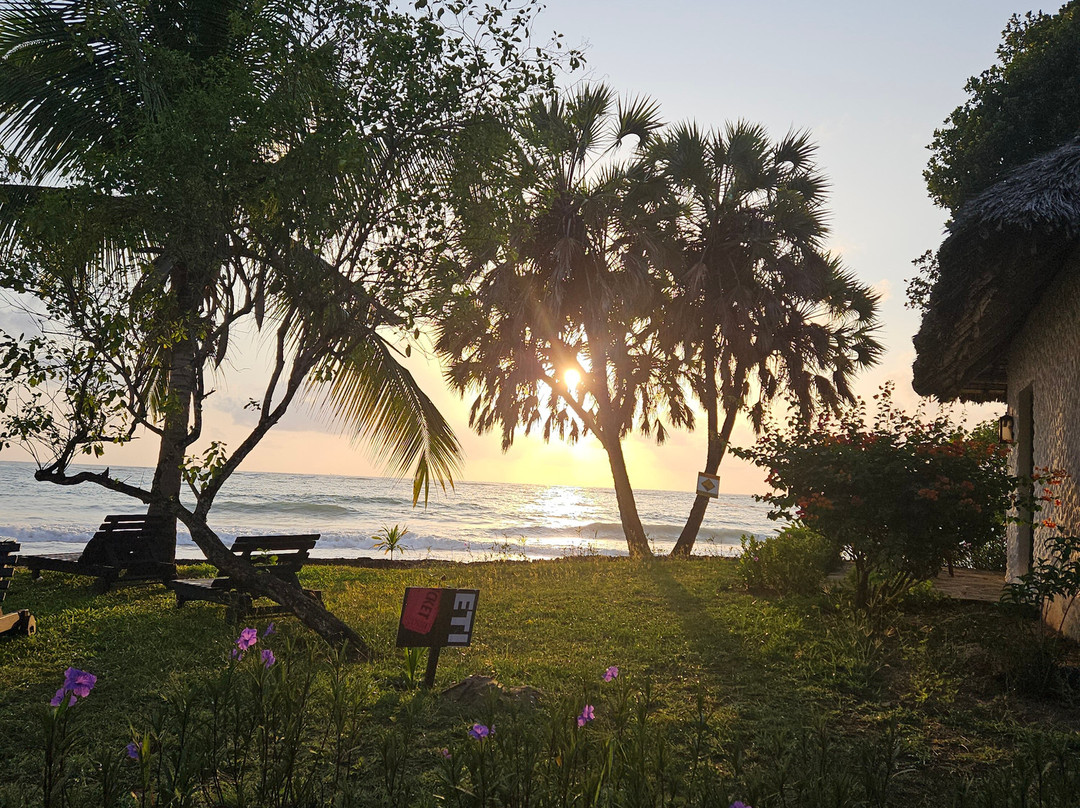 Jacaranda Indian Ocean Beach Resort主图