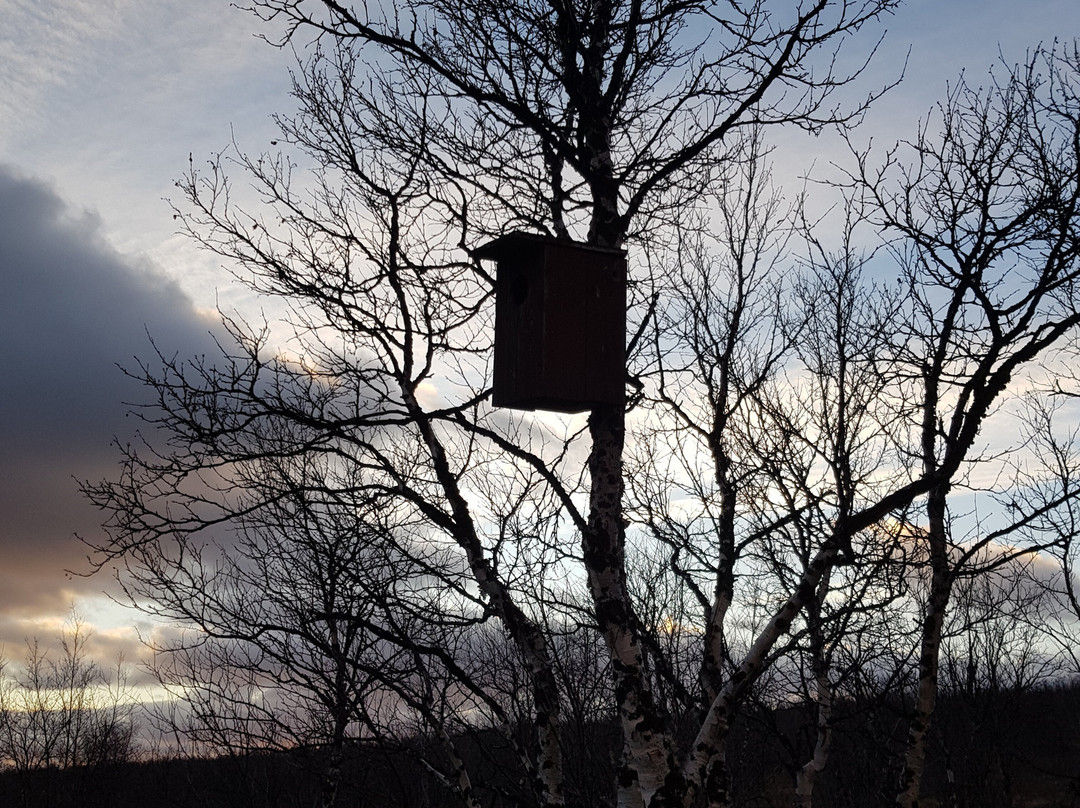 Kautokeino Natursti景点图片