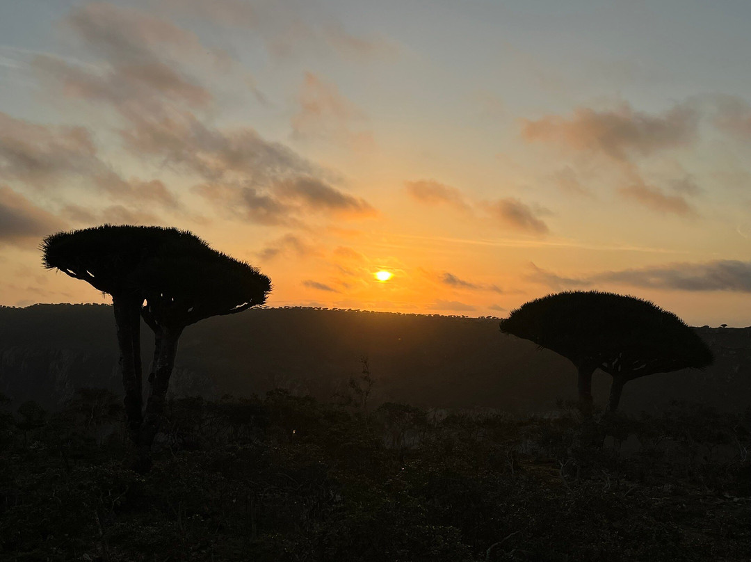 Traveling  Socotra-索科特拉岛必去景点