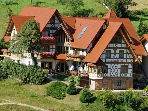 Seebach酒店住宿-Baeuerlehof