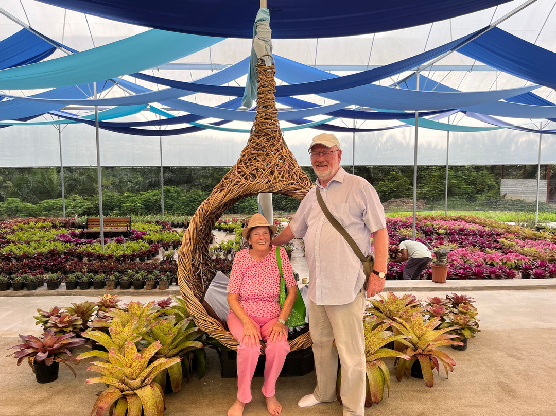 Sky Ladder Pineapple Farm-波德申必去景点