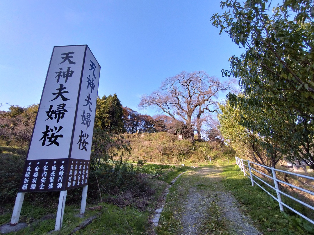 Takashiba Deco-Yashiki-郡山市必去景点
