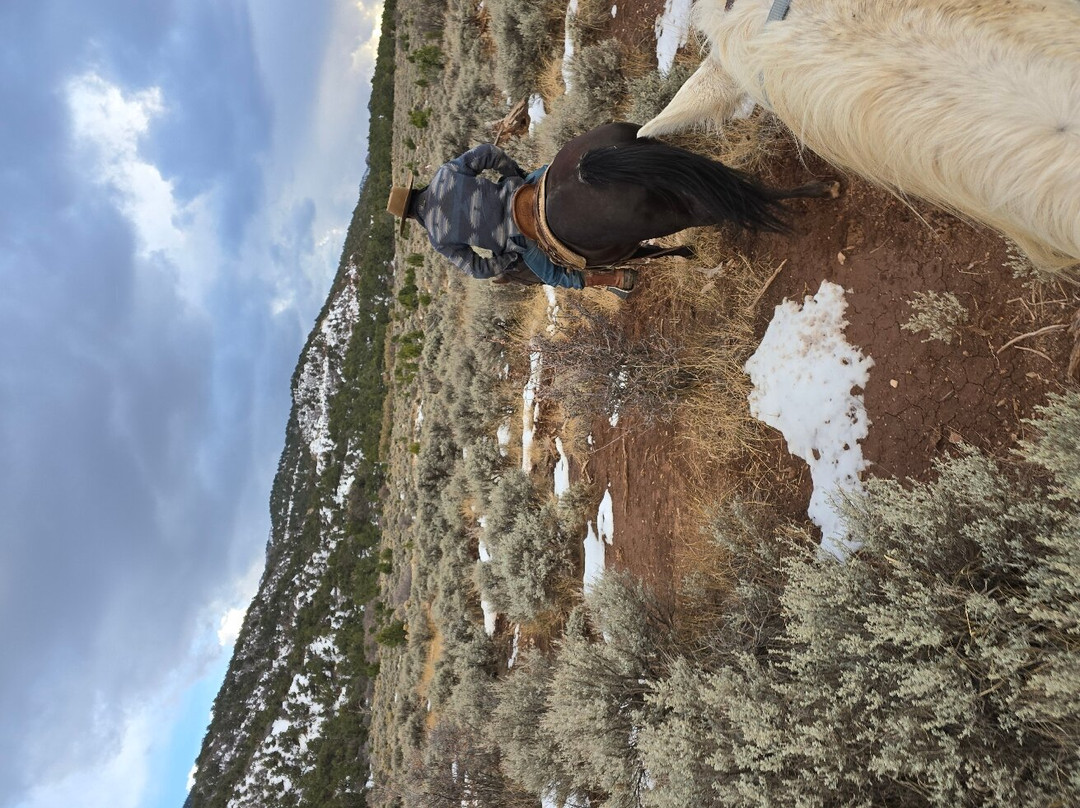 Rising K Ranch-锡达城必去景点