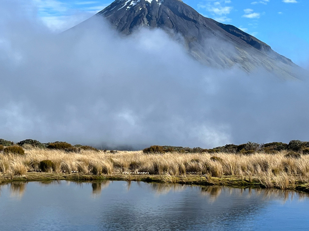 Taranaki Country Lodge主图