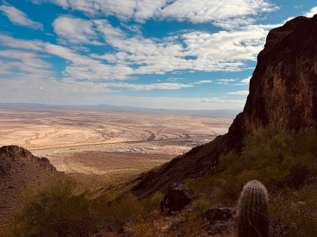 Picacho Peak State Park-Picacho必去景点