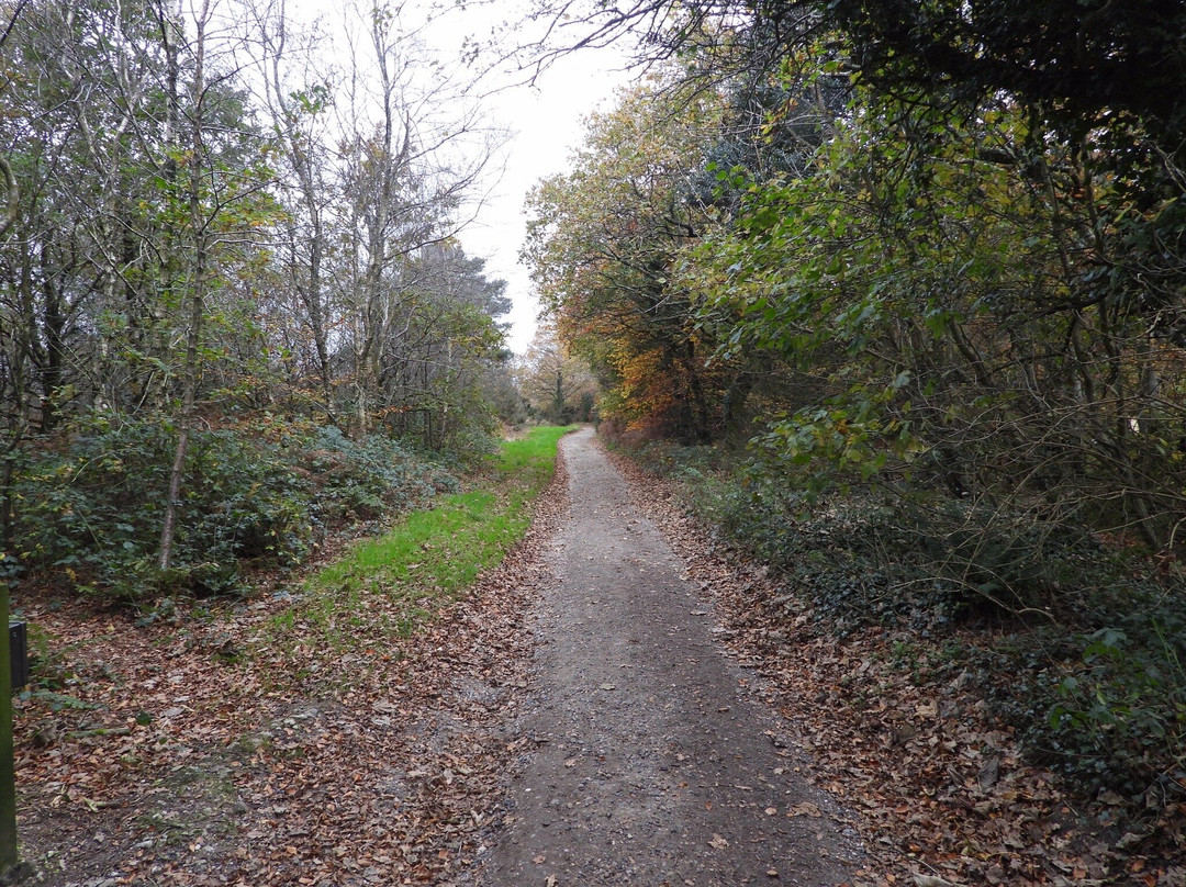 Sidmouth - Valley, Ridge and Jurassic Coast walk-西德茅斯必去景点