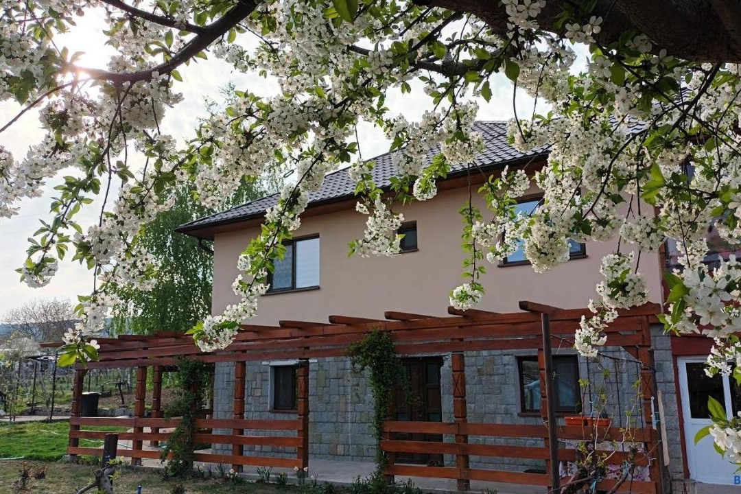 Agropensiunea-Alexandra