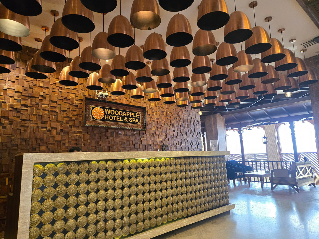 Woodapple Hotel and Spa主图