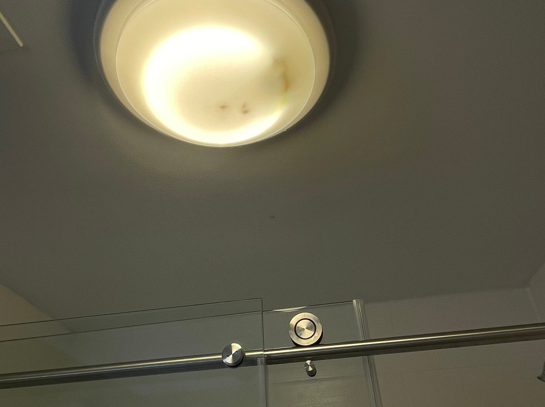 TownePlace Suites by Marriott Shreveport-Bossier City主图