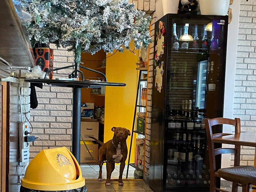 Simona Baila Snack Bar-Albogasio-Oria必去景点