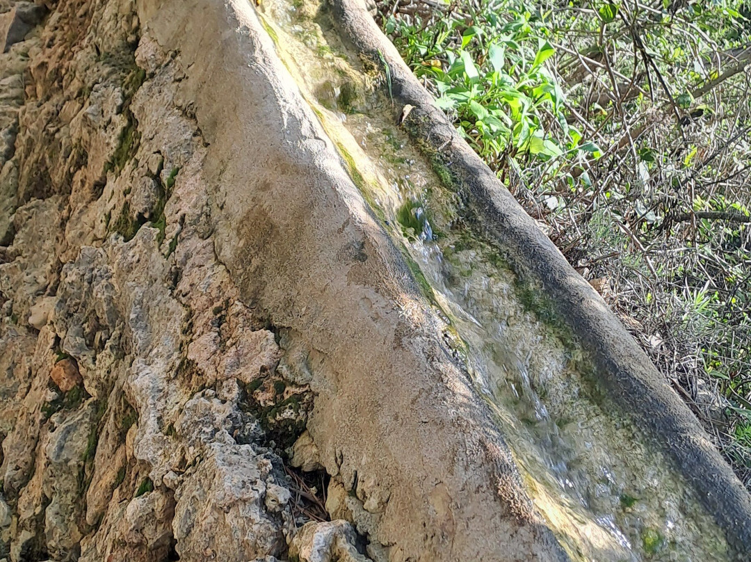Parque Natural de la Murta景点图片