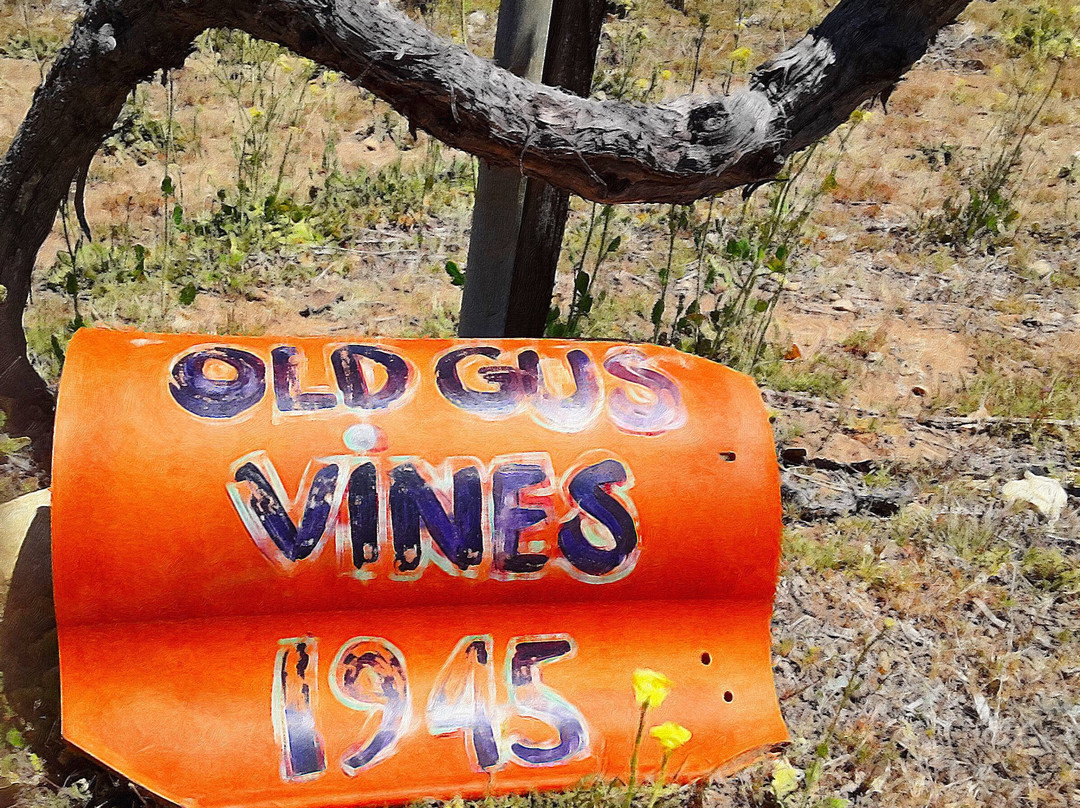 Shadow Mountain Vineyards & Winery景点图片