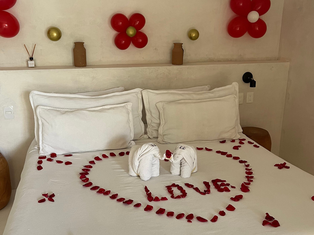 Dune Boutique Hotel Tulum主图