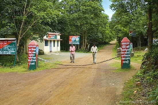 Dalma Wildlife Sanctuary景点图片