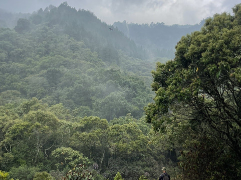 Corporación Ecoturística el Vallano-恩维加多必去景点
