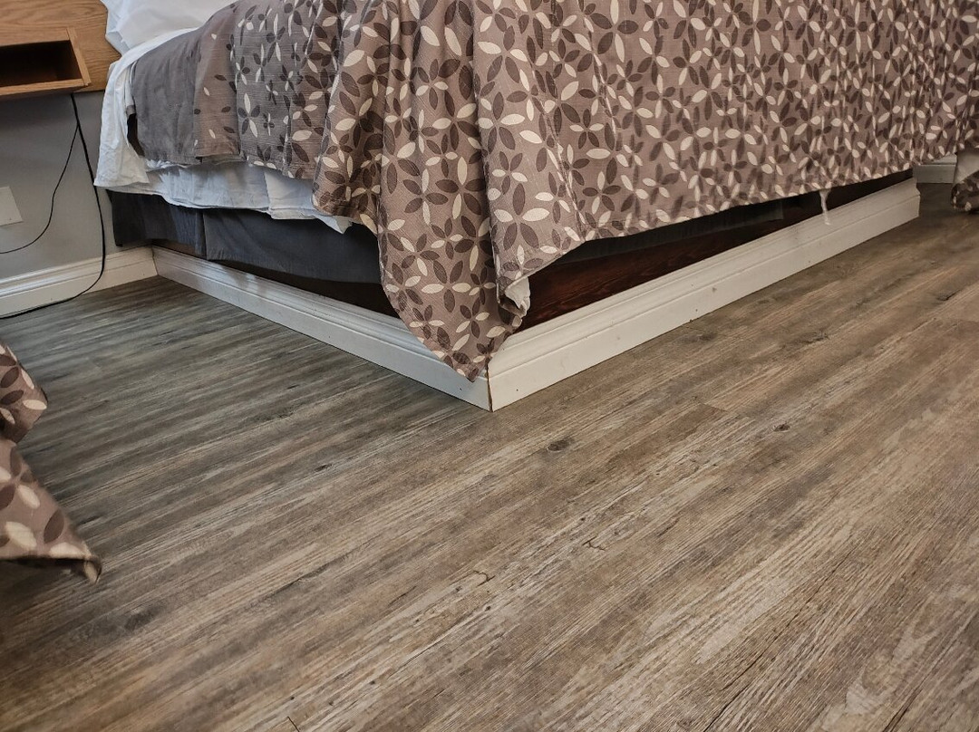 Alcan Motor Inn主图