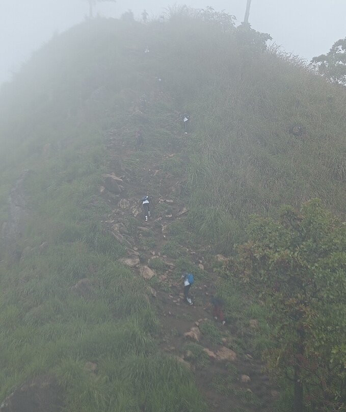 Chalana Homestay主图