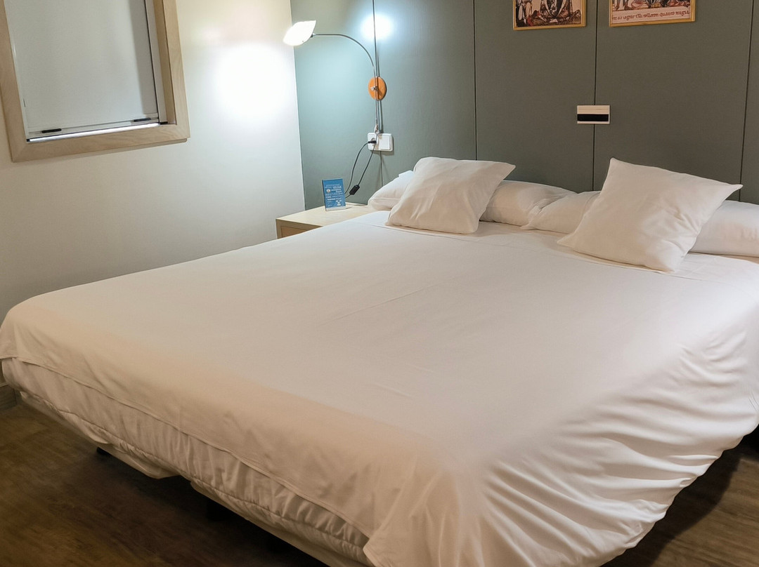 Hotel Ruta Jacobea主图