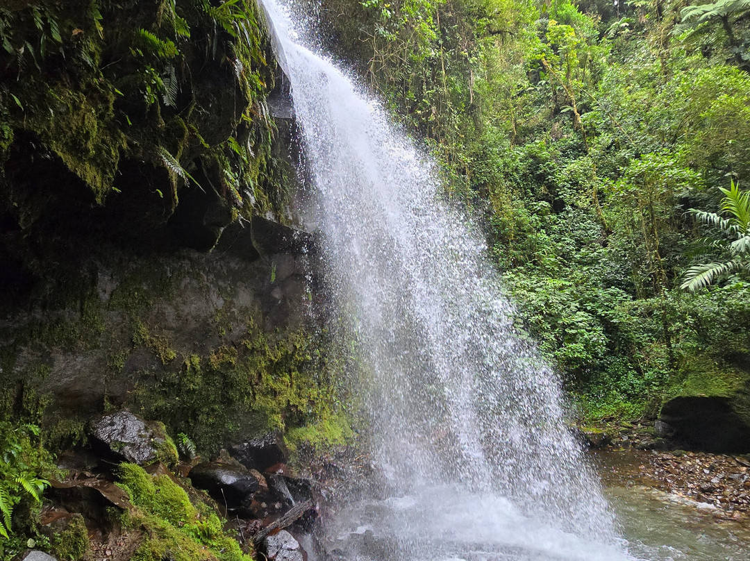 The Lost Waterfalls-Boquete景点图片