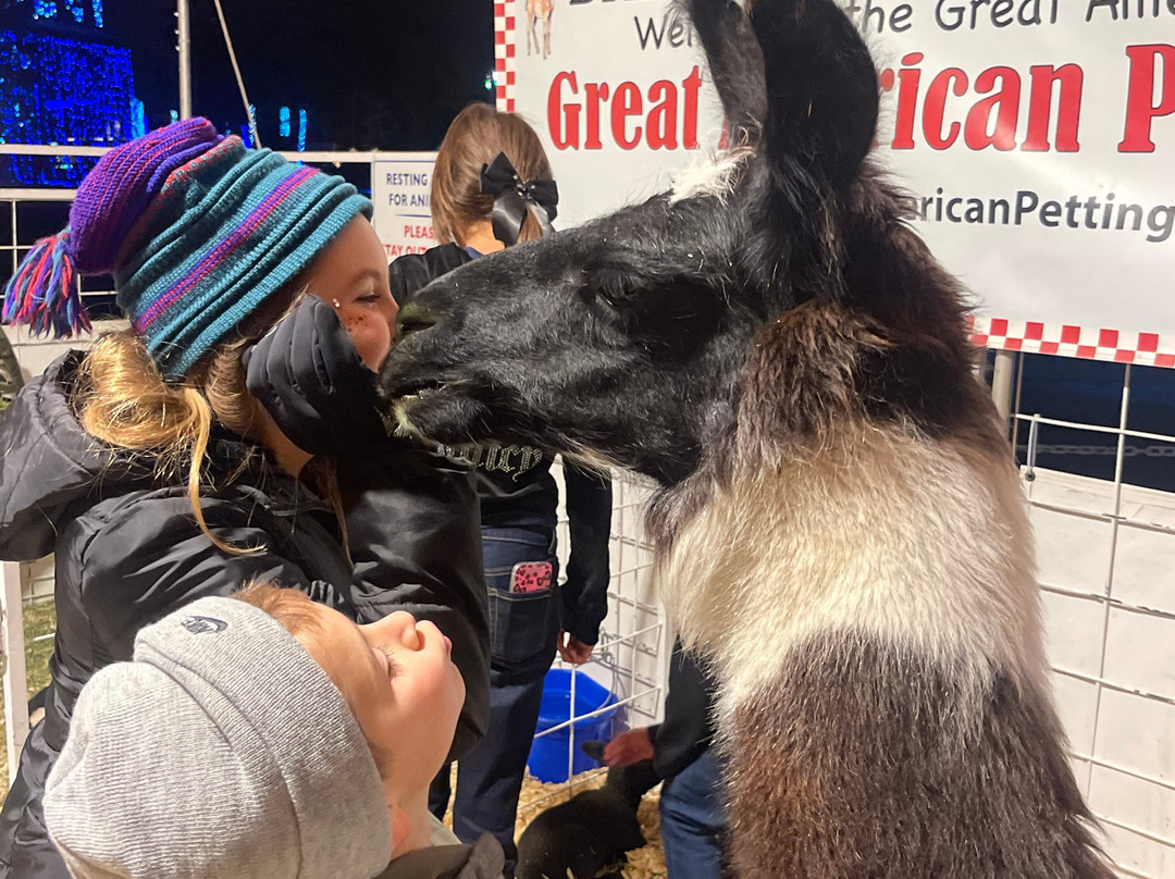 Lone Star Lights-Huntsville必去景点