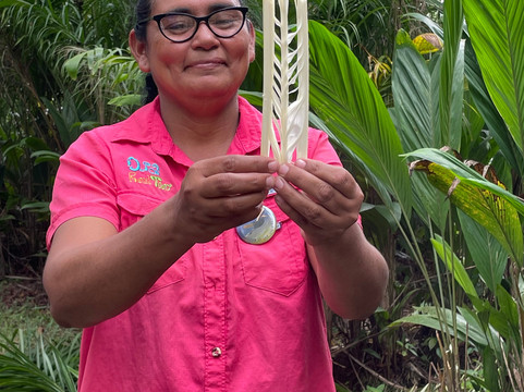 Jacana Tours Heart of Palm tours-希门尼斯港必去景点