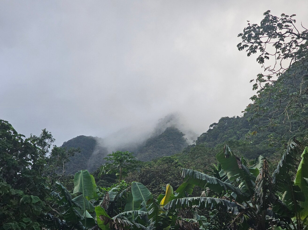 EVACC Foundation - El Valle Amphibian Conservation Center Foundation景点图片