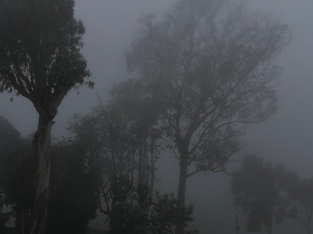 卡尔顿酒店主图