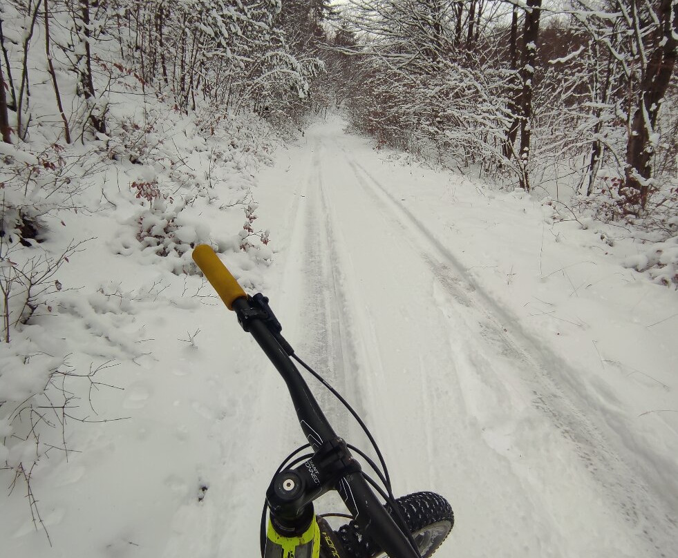 Austria Trails Bike Rent and Tours-Guntramsdorf必去景点