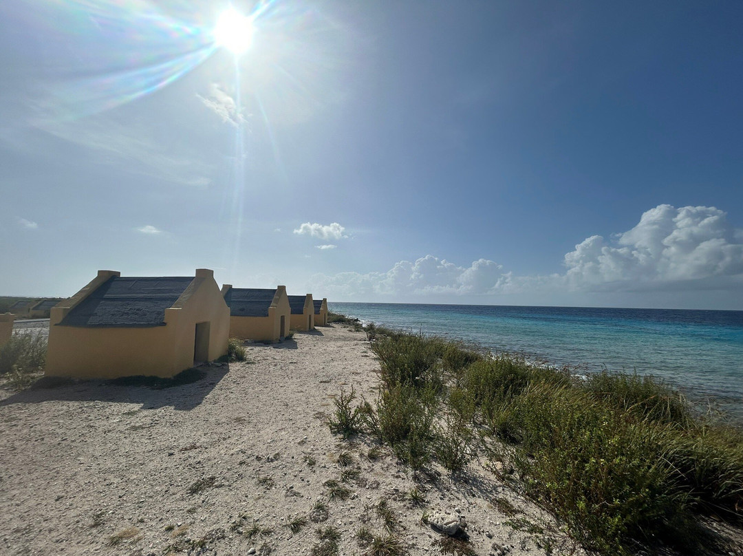 Red Slave Huts-Kralendijk必去景点