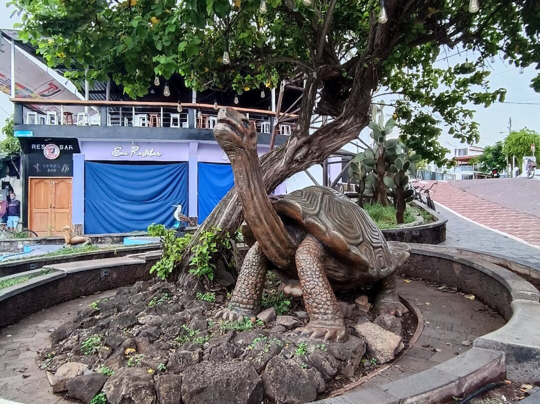 Monumento de la Tortuga-阿约拉港必去景点