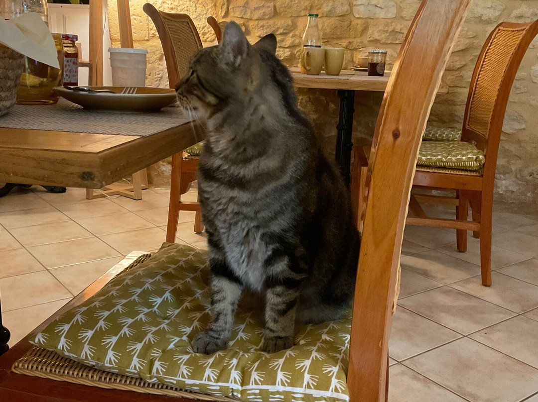 Le Clos Vallis主图