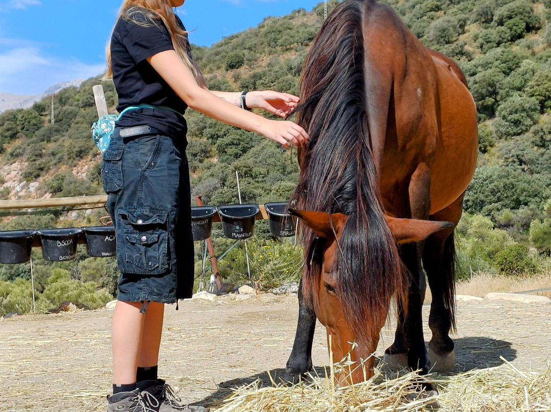 Time and Space Equine Education Sanctuary-Atajate必去景点