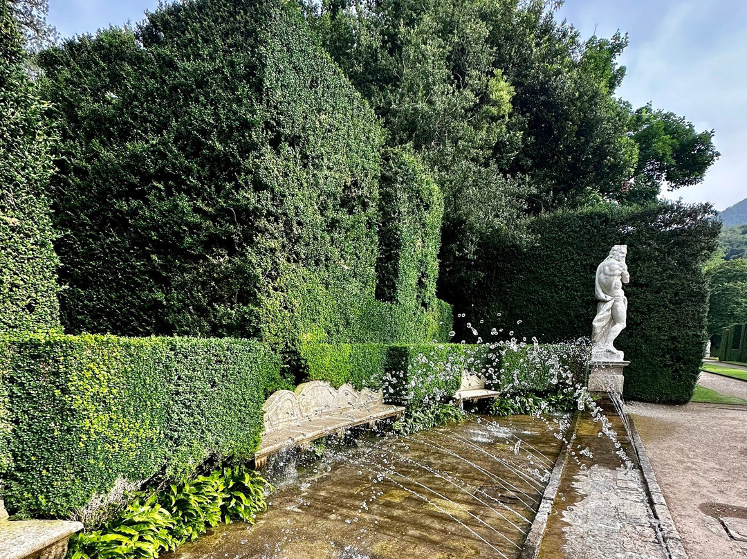 Garden of Villa Barbarigo景点图片