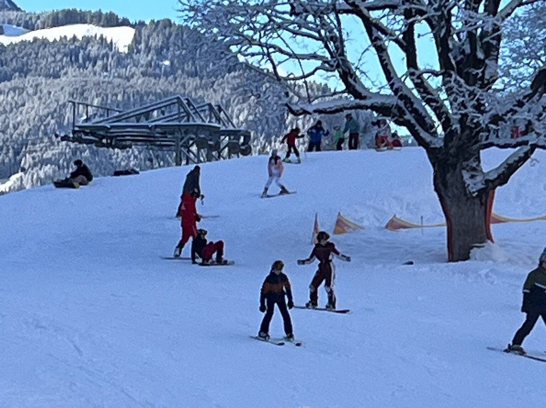 OUTDOOR - Bodmi Arena-格林德瓦必去景点