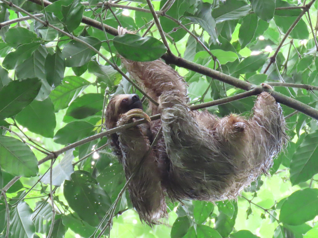 La Marina Wildlife Rescue Center景点图片