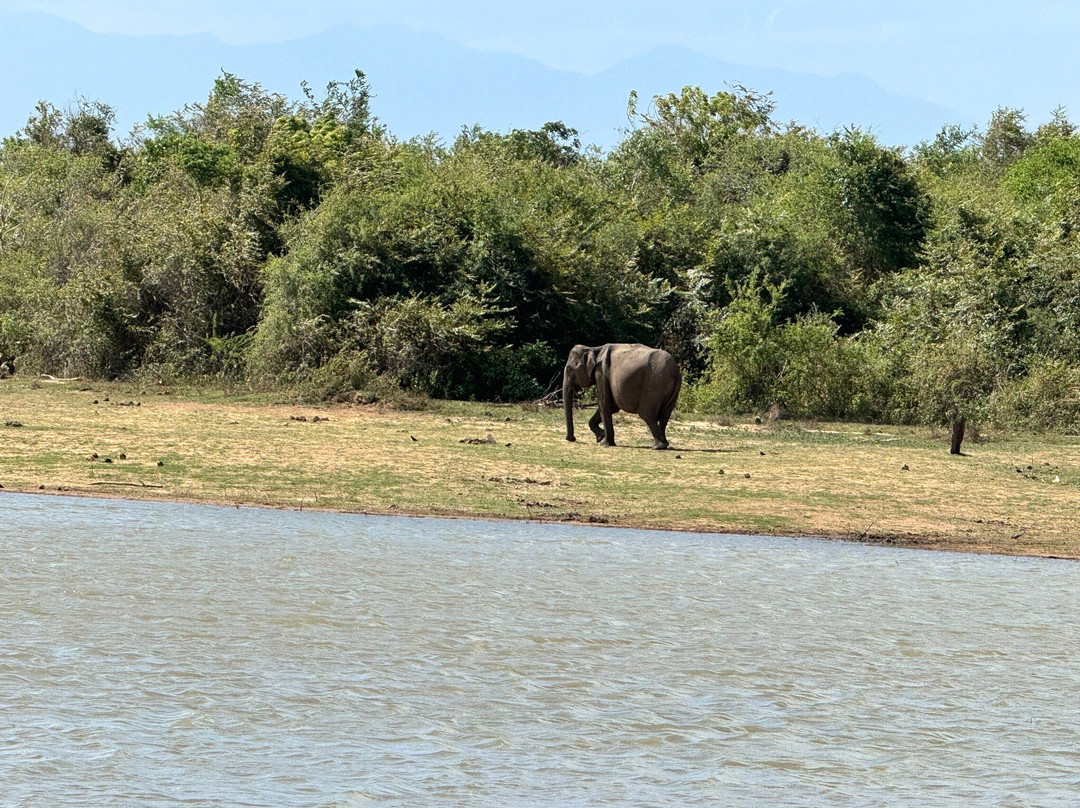 Premium Tours Sri Lanka景点图片