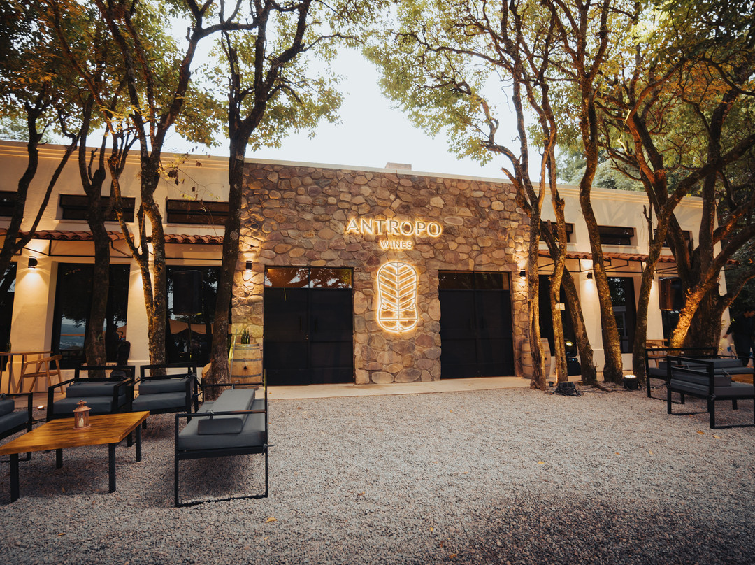 阿尔托斯德拉维尼亚，葡萄酒酒店和水疗中心主图