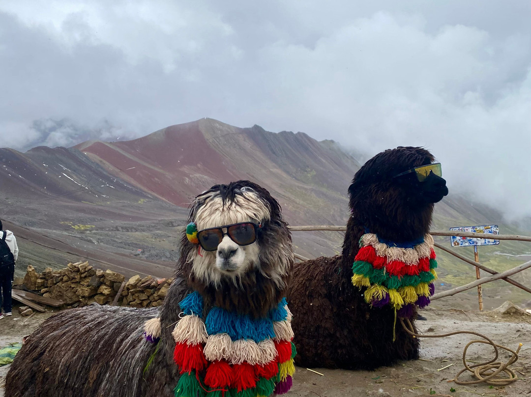 Local Link Experience-库斯科必去景点