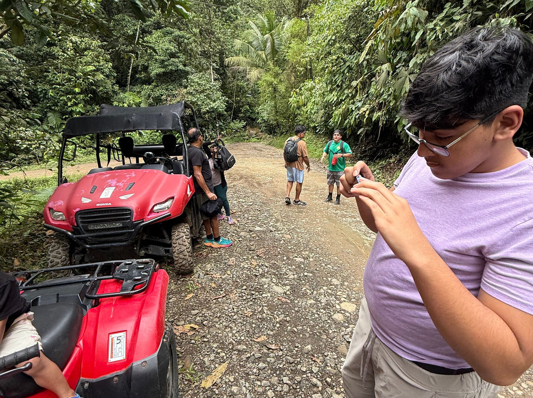 Pacific jungle adventures景点图片