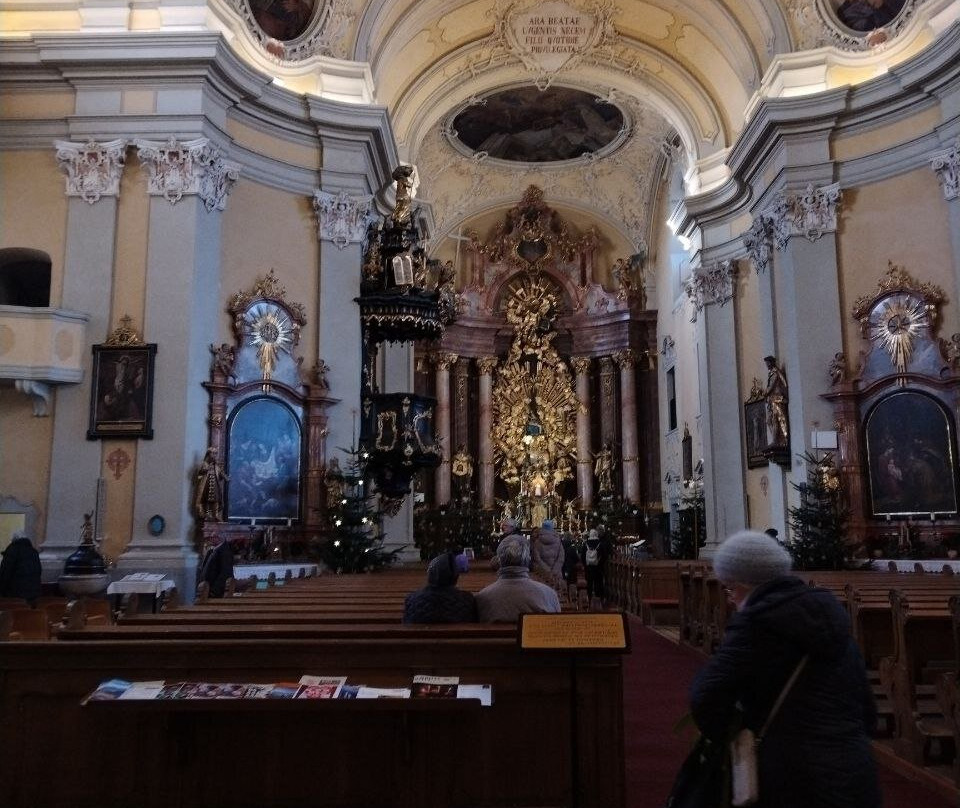 Pöstlingbergkirche Wallfahrtsbasilika Sieben Schmerzen Maria-林兹必去景点