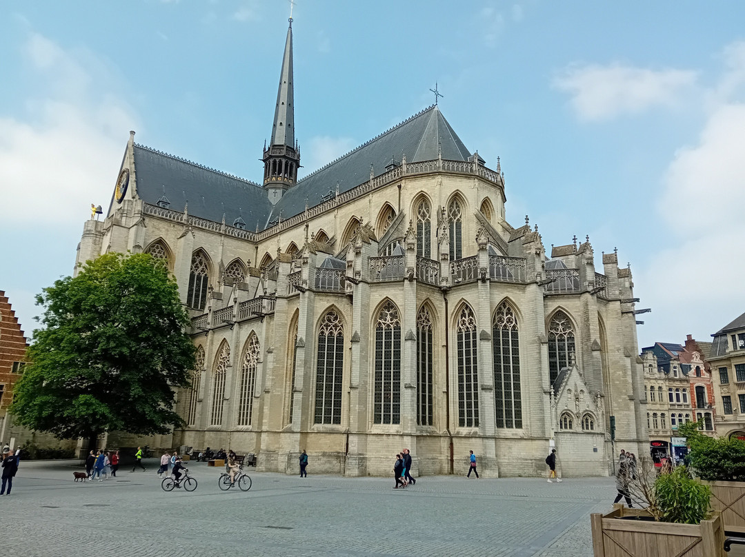 Saint Peter's Church (Sint-Pieterskerk)-鲁汶必去景点