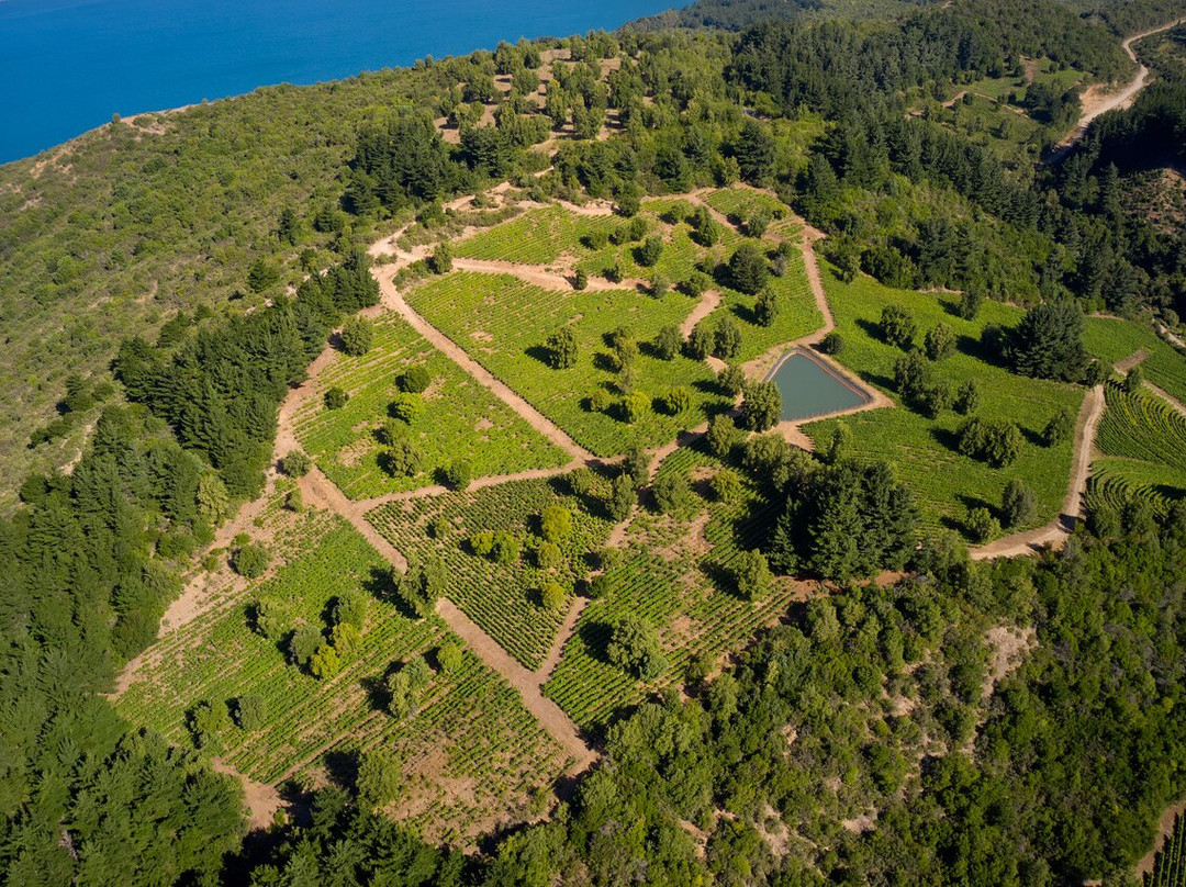 Experiencia Laberinto