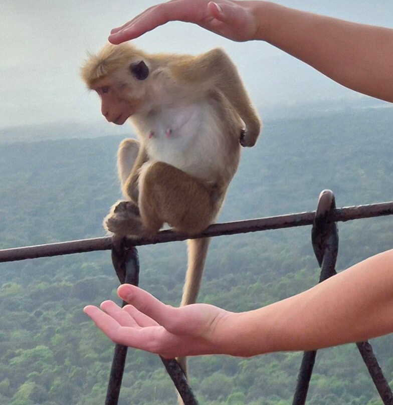 Travel Choice-希克杜沃必去景点