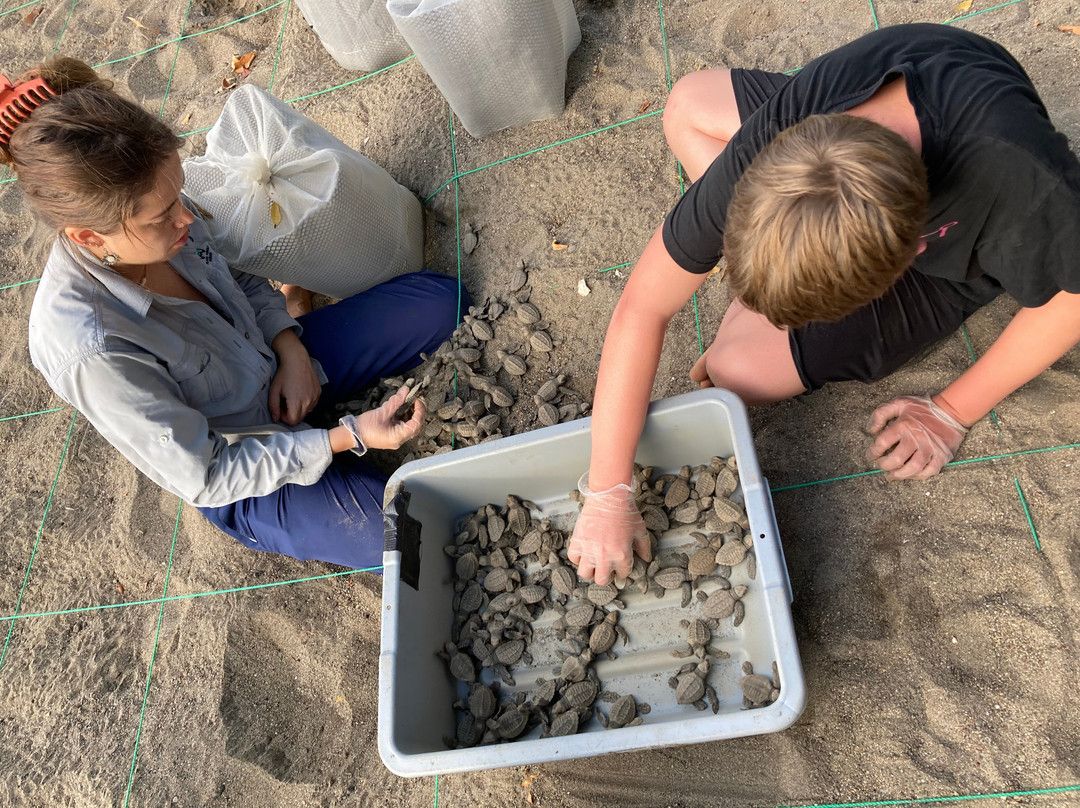 Save The Turtles Playa Venao-维纳欧海滩必去景点