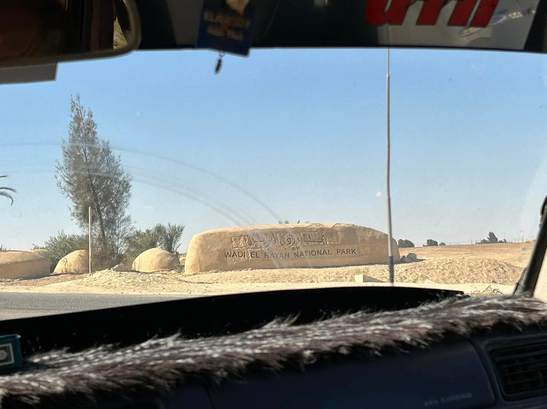 Wadi El-Rayan-法尤姆必去景点
