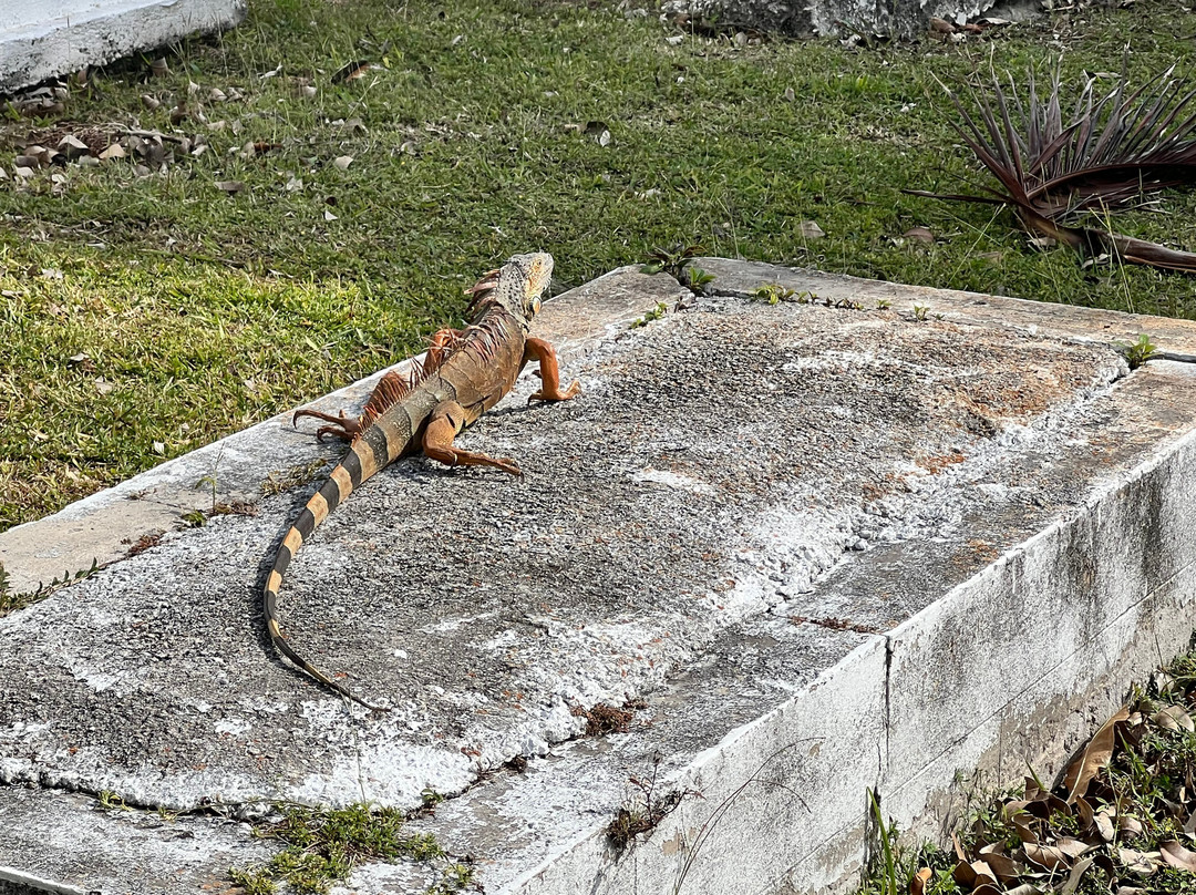 Key West Cemetery-基韦斯特必去景点