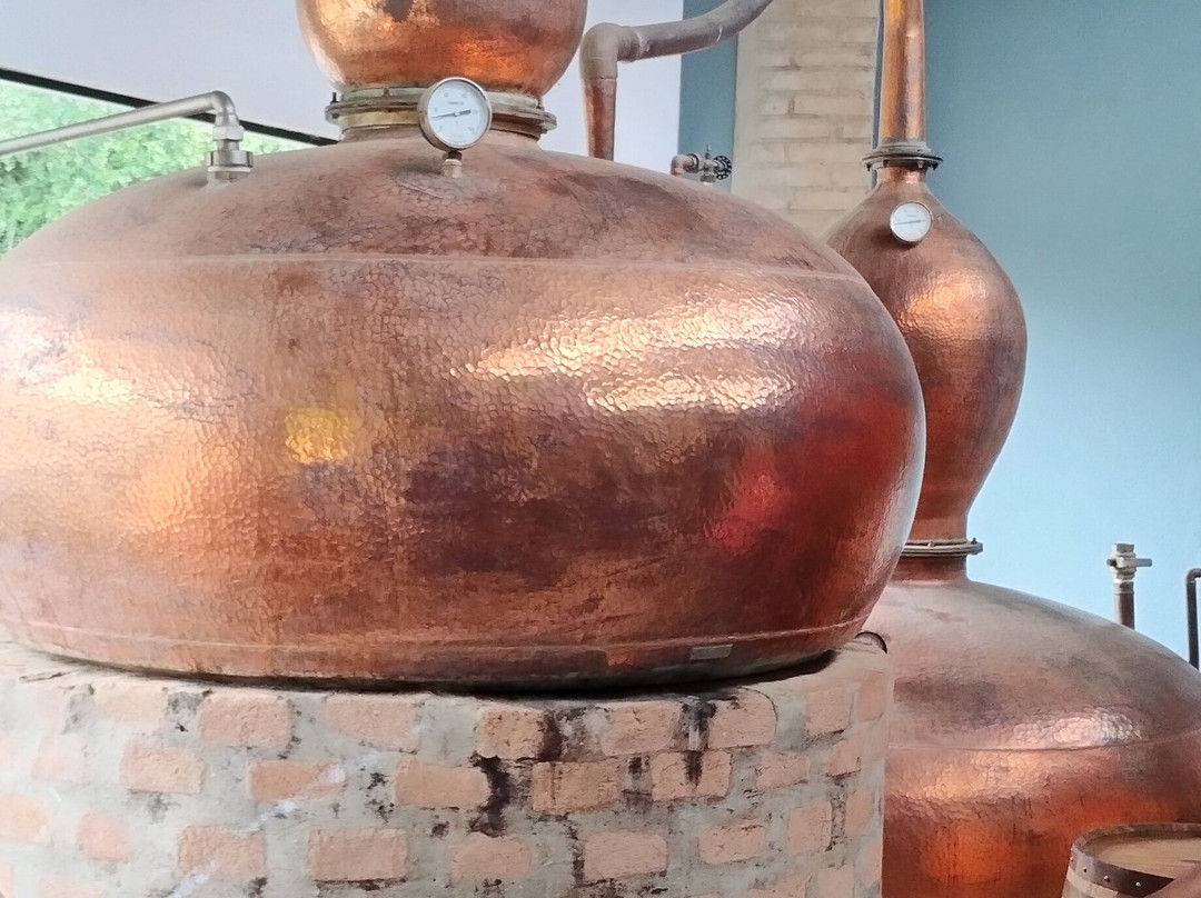 Destilaria Monte Verde-蒙特贝尔德必去景点