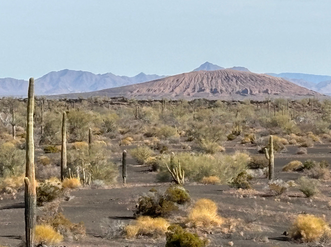 El Pinacate y Gran Desierto de Altar Biosphere Reserve景点图片