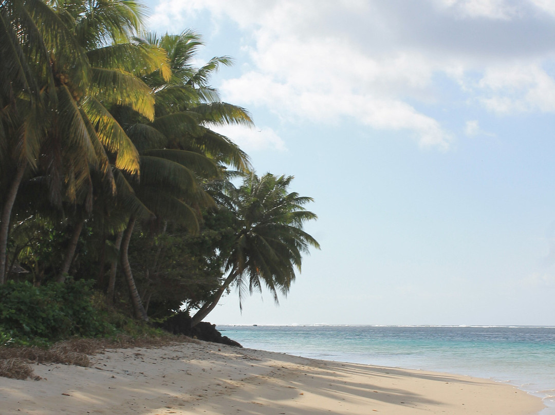 Janes Beach Fales主图